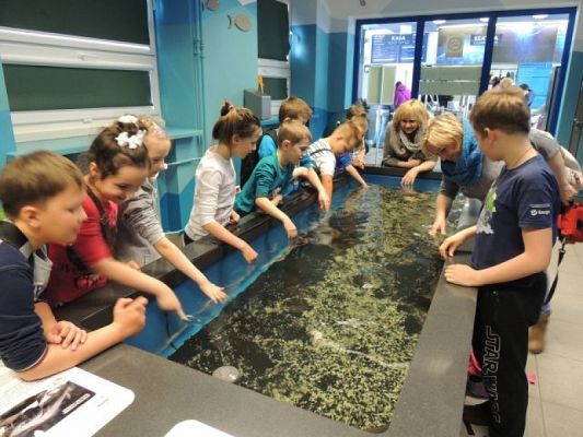  Grafika #6: Drugoklasiści w Gdyńskim Oceanarium grafika