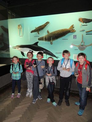  Grafika #8: Drugoklasiści w Gdyńskim Oceanarium grafika