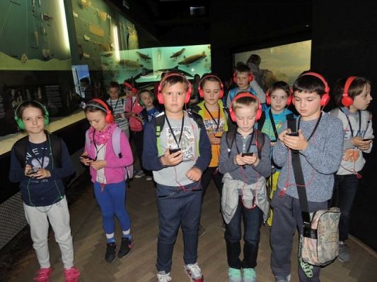  Grafika #9: Drugoklasiści w Gdyńskim Oceanarium grafika