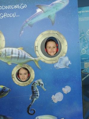  Grafika #10: Drugoklasiści w Gdyńskim Oceanarium grafika