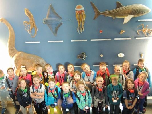  Grafika #12: Drugoklasiści w Gdyńskim Oceanarium grafika