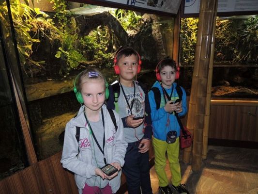  Grafika #13: Drugoklasiści w Gdyńskim Oceanarium grafika