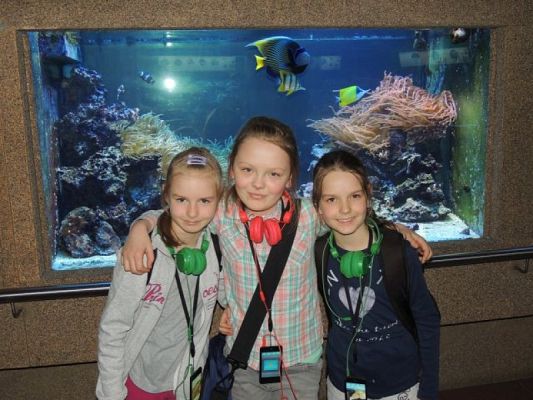  Grafika #14: Drugoklasiści w Gdyńskim Oceanarium grafika