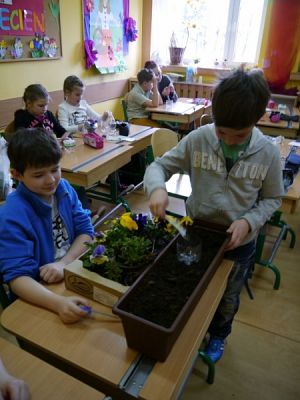  Grafika #5: Dni ekologiczne grafika