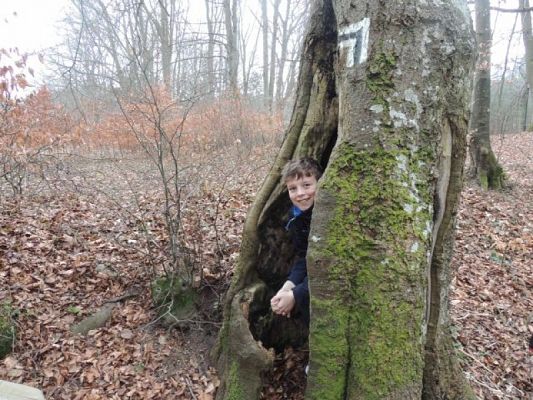  Grafika #6: Wycieczka na Kalwarię Wejherowską grafika