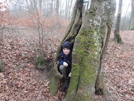  Grafika #7: Wycieczka na Kalwarię Wejherowską grafika