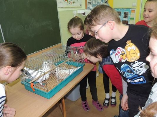  Grafika #2: Klasowy zwierzyniec grafika