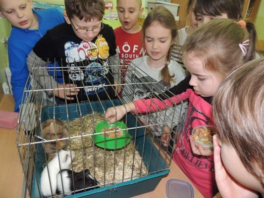  Grafika #4: Klasowy zwierzyniec grafika