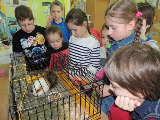  Grafika #5: Klasowy zwierzyniec grafika