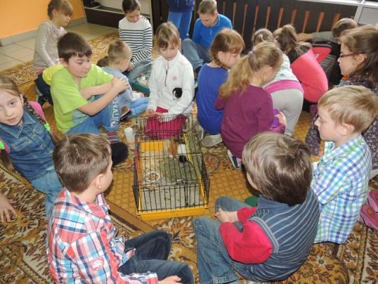  Grafika #7: Klasowy zwierzyniec grafika