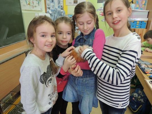  Grafika #8: Klasowy zwierzyniec grafika