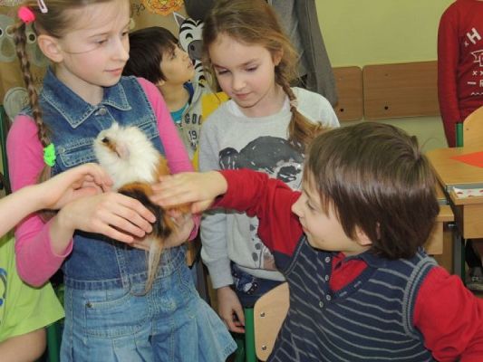  Grafika #9: Klasowy zwierzyniec grafika