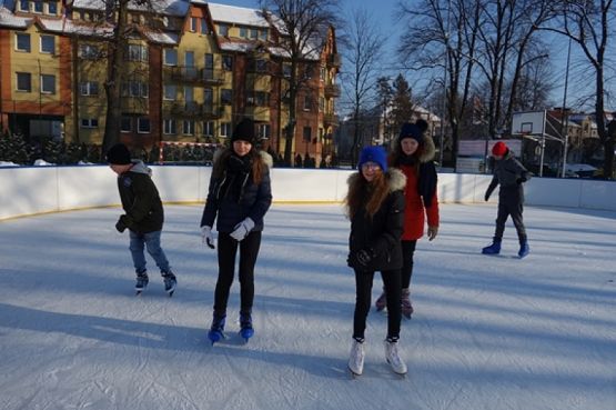  Grafika #21: WF ZIMĄ NA LODOWISKU grafika