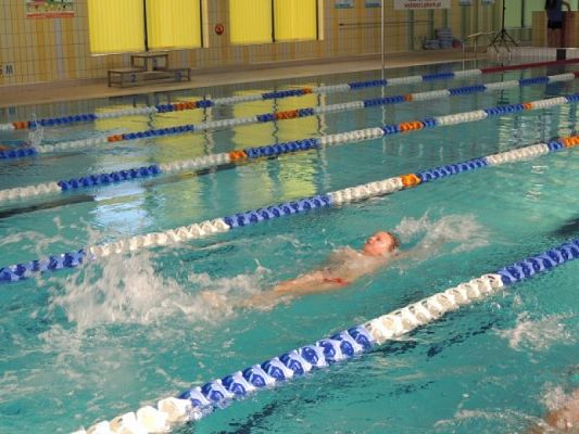  Grafika #14: Mistrzostwa Lęborka Szkół Podstawowych i Gimnazjów w Indywidualnych Zawodach Pływackich grafika