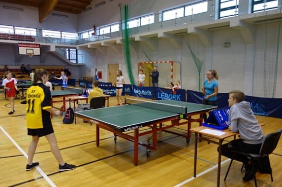  Grafika #0: FINAŁ POWIATOWYCH IGRZYSK DZIECI W TENISIE STOŁOWYM grafika