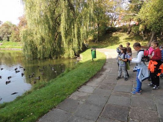  Grafika #0: Tropem jesieni - przyrodniczy spacer po parku grafika