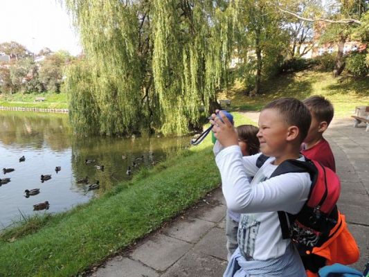  Grafika #1: Tropem jesieni - przyrodniczy spacer po parku grafika