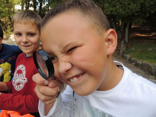  Grafika #2: Tropem jesieni - przyrodniczy spacer po parku grafika