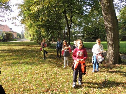  Grafika #6: Tropem jesieni - przyrodniczy spacer po parku grafika