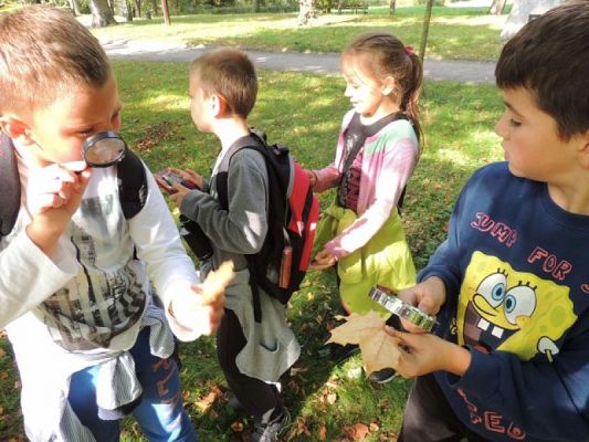  Grafika #7: Tropem jesieni - przyrodniczy spacer po parku grafika