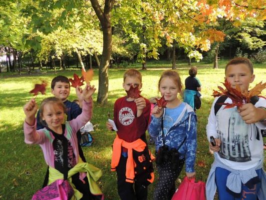  Grafika #9: Tropem jesieni - przyrodniczy spacer po parku grafika