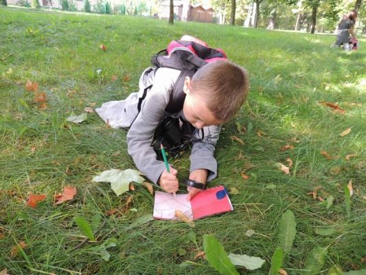  Grafika #11: Tropem jesieni - przyrodniczy spacer po parku grafika