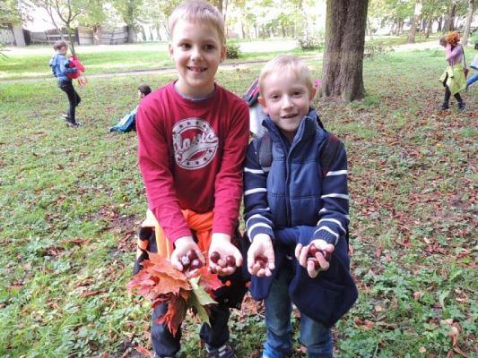  Grafika #12: Tropem jesieni - przyrodniczy spacer po parku grafika