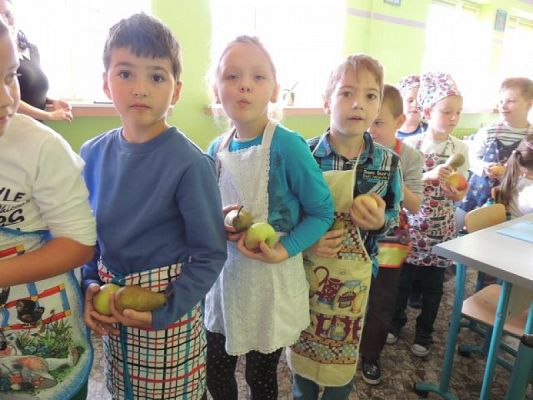  Grafika #1: Owocowy zawrót głowy grafika