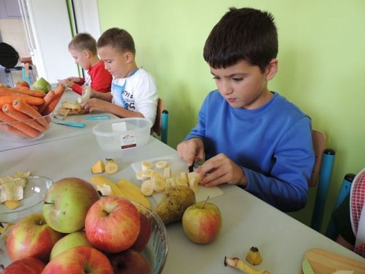  Grafika #5: Owocowy zawrót głowy grafika