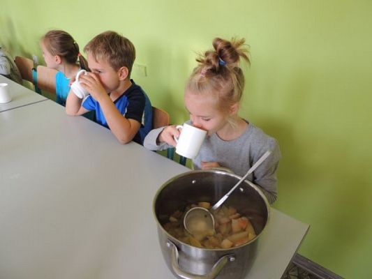  Grafika #10: Owocowy zawrót głowy grafika