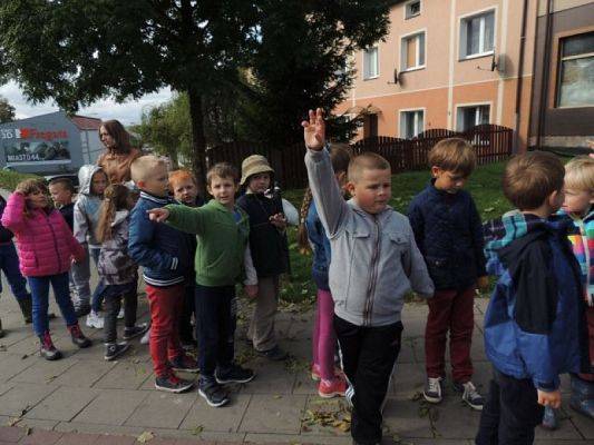  Grafika #0: Turysto! Szanuj środowisko w lesie grafika