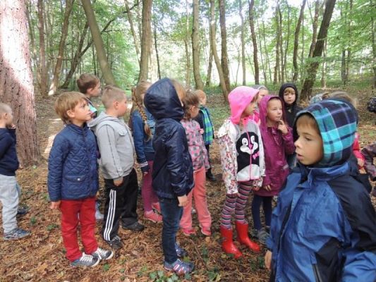  Grafika #2: Turysto! Szanuj środowisko w lesie grafika