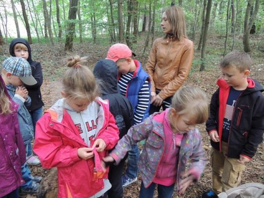  Grafika #3: Turysto! Szanuj środowisko w lesie grafika