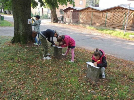  Grafika #1: Jesteśmy obserwatorami przyrody grafika