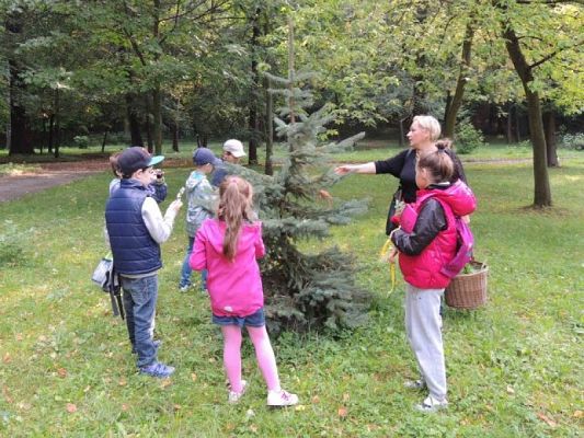  Grafika #3: Jesteśmy obserwatorami przyrody grafika