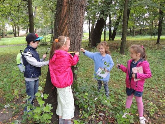  Grafika #4: Jesteśmy obserwatorami przyrody grafika