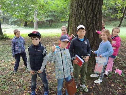  Grafika #5: Jesteśmy obserwatorami przyrody grafika