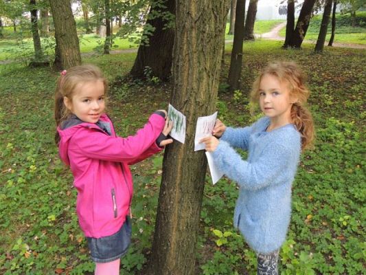  Grafika #6: Jesteśmy obserwatorami przyrody grafika