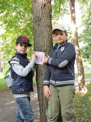  Grafika #7: Jesteśmy obserwatorami przyrody grafika