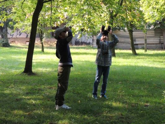  Grafika #9: Jesteśmy obserwatorami przyrody grafika