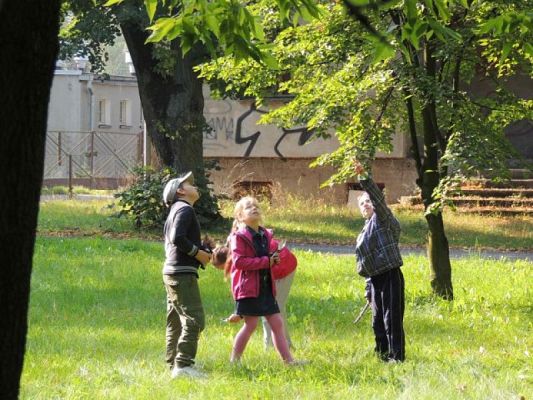  Grafika #10: Jesteśmy obserwatorami przyrody grafika