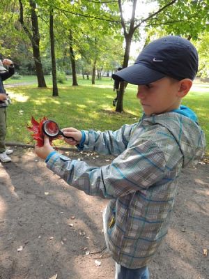  Grafika #11: Jesteśmy obserwatorami przyrody grafika