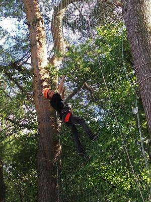  Grafika #14: Klasa V w Przywidzu grafika