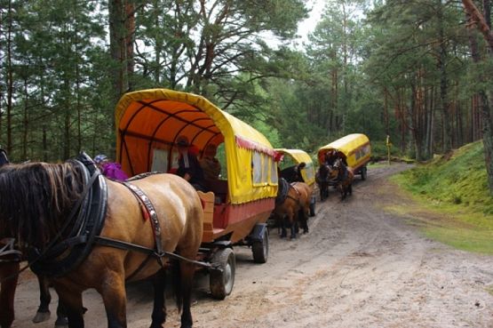 Grafika #0: Wyjazd klas I-III do Słajszewa grafika