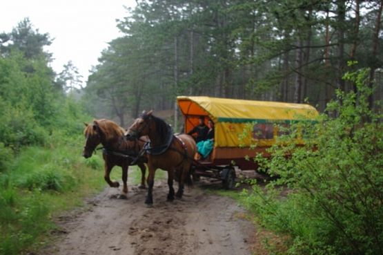 Grafika #13: Wyjazd klas I-III do Słajszewa grafika