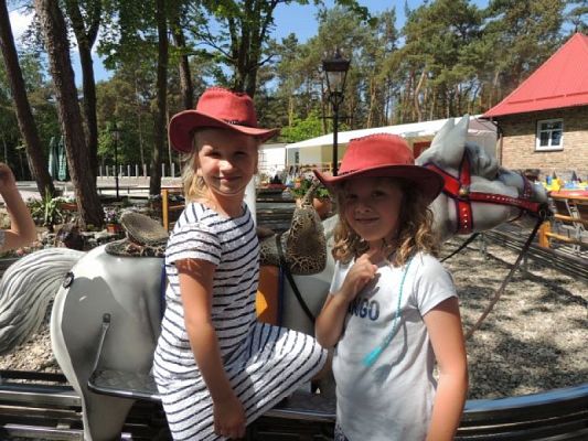 Grafika #15: Łebski Dzień Dziecka grafika