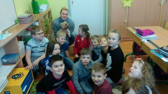  Grafika #0: Zwierzaki słodziaki grafika