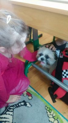  Grafika #1: Zwierzaki słodziaki grafika