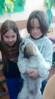  Grafika #2: Zwierzaki słodziaki grafika