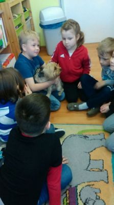  Grafika #3: Zwierzaki słodziaki grafika